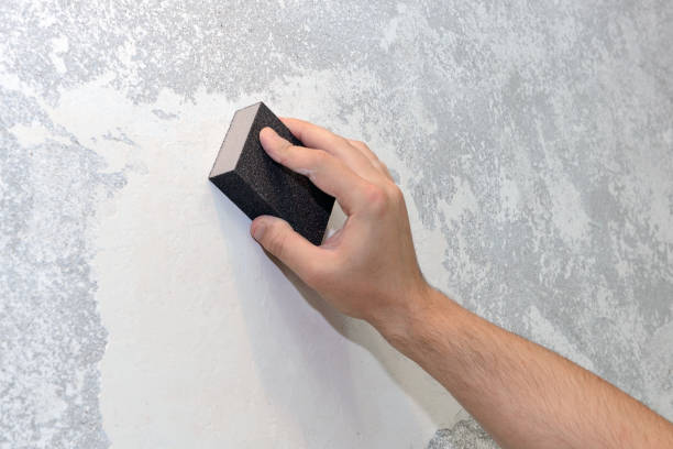 Hebron Estates, KY Mold Removal Company