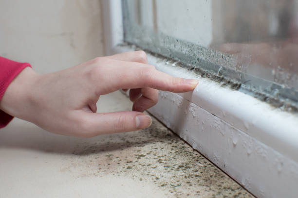 Asbestos and Lead Testing During Mold Inspection in Hebron Estates, KY
